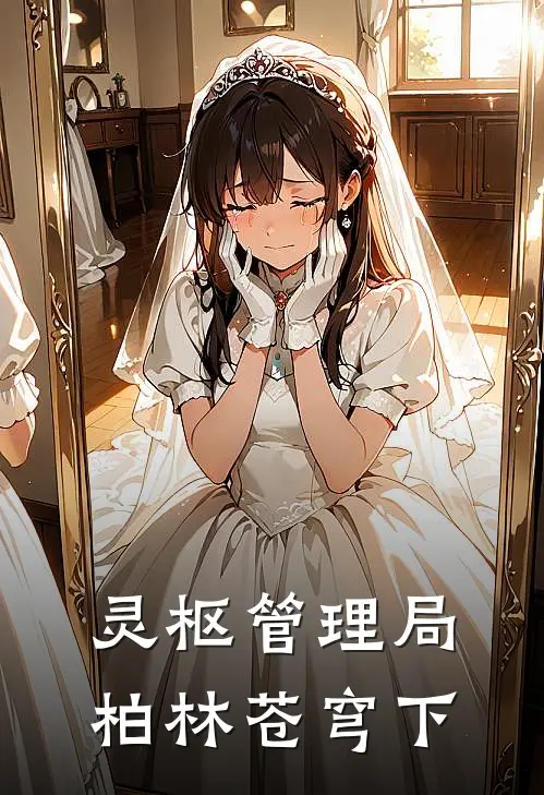 灵枢管理局：柏林苍穹下